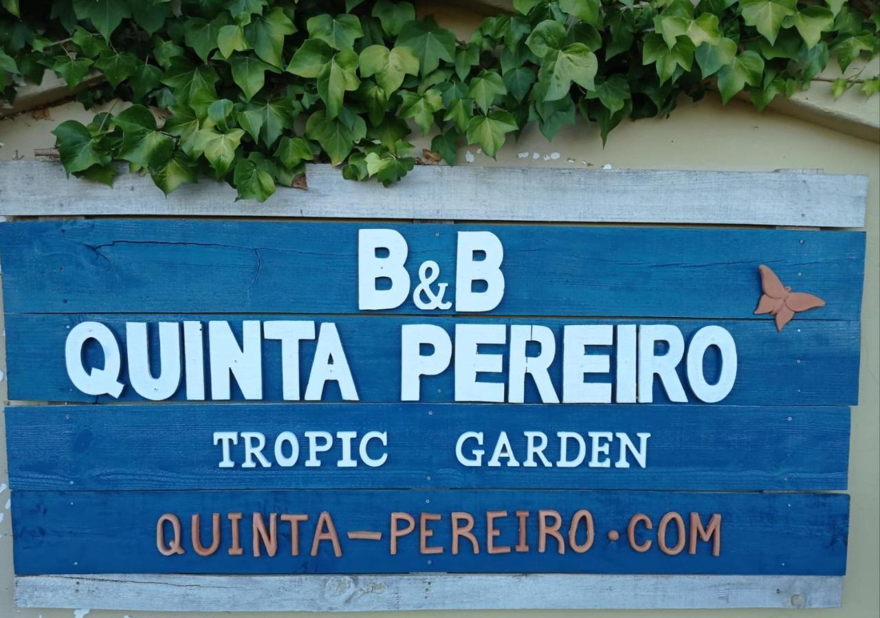 Bed and Breakfast Quinta Pereiro Tropic Garden, Algarve Moncarapacho Zewnętrze zdjęcie