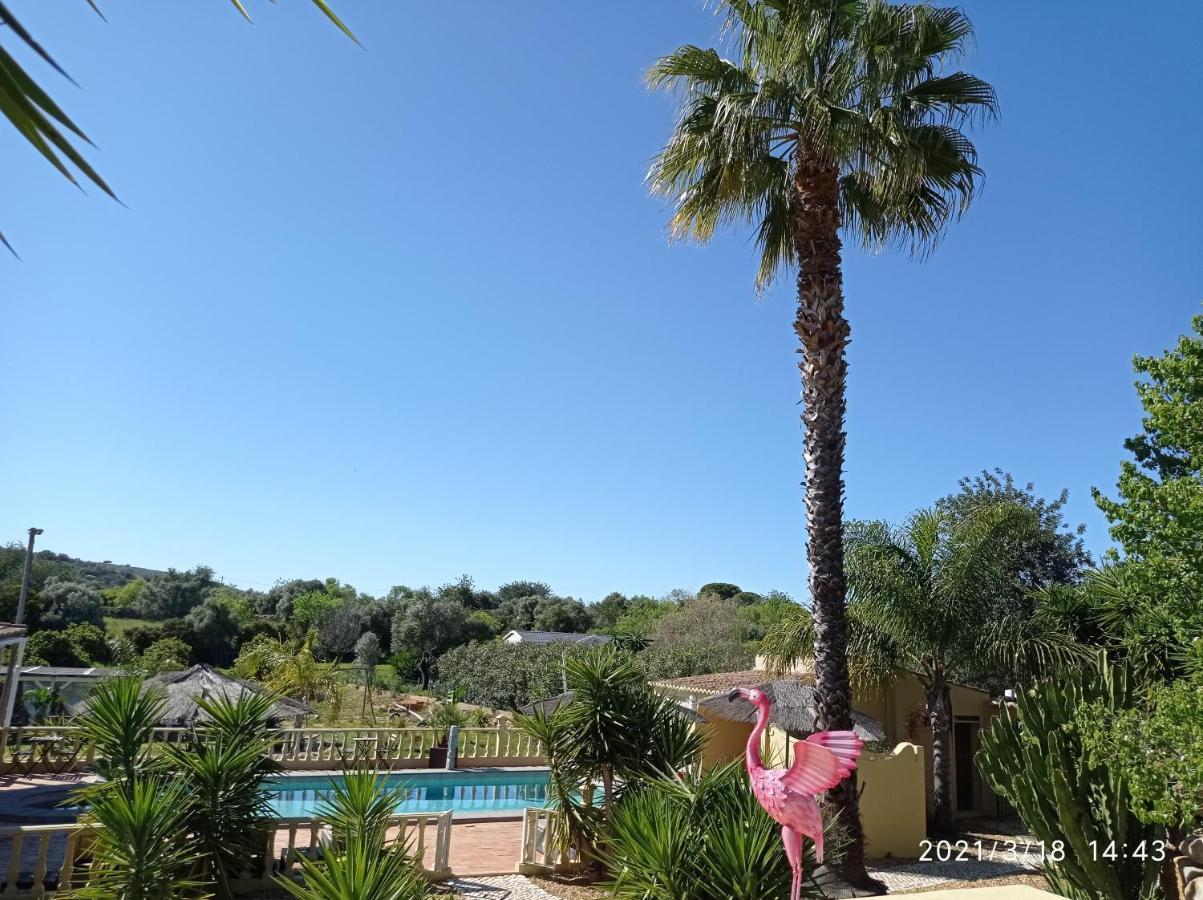 Bed and Breakfast Quinta Pereiro Tropic Garden, Algarve Moncarapacho Zewnętrze zdjęcie