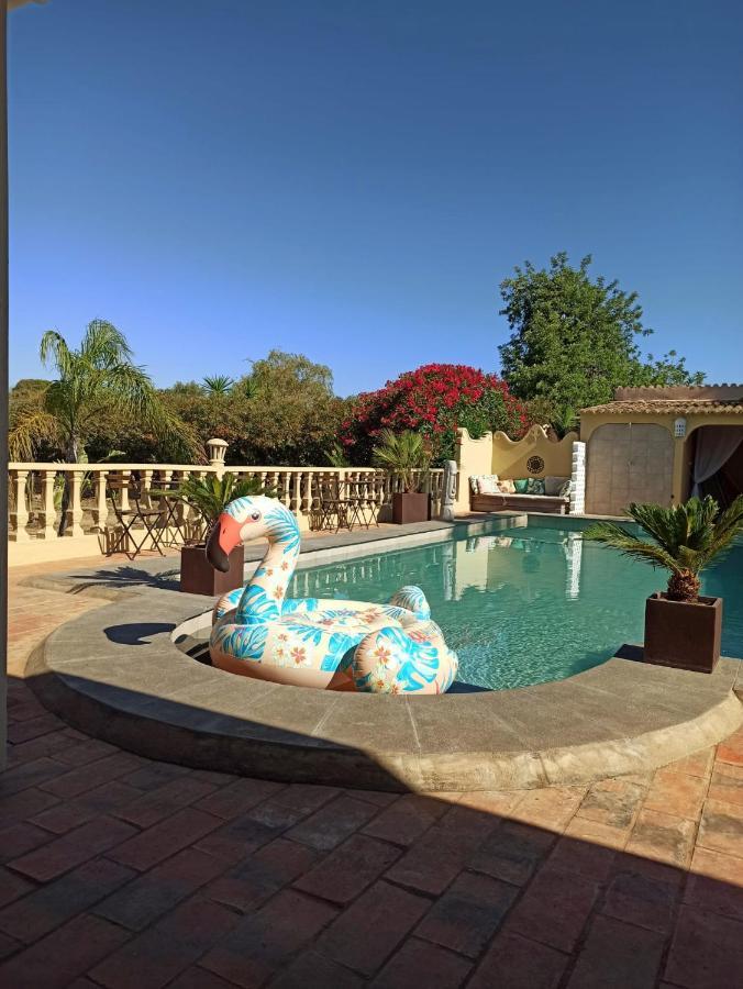 Bed and Breakfast Quinta Pereiro Tropic Garden, Algarve Moncarapacho Zewnętrze zdjęcie