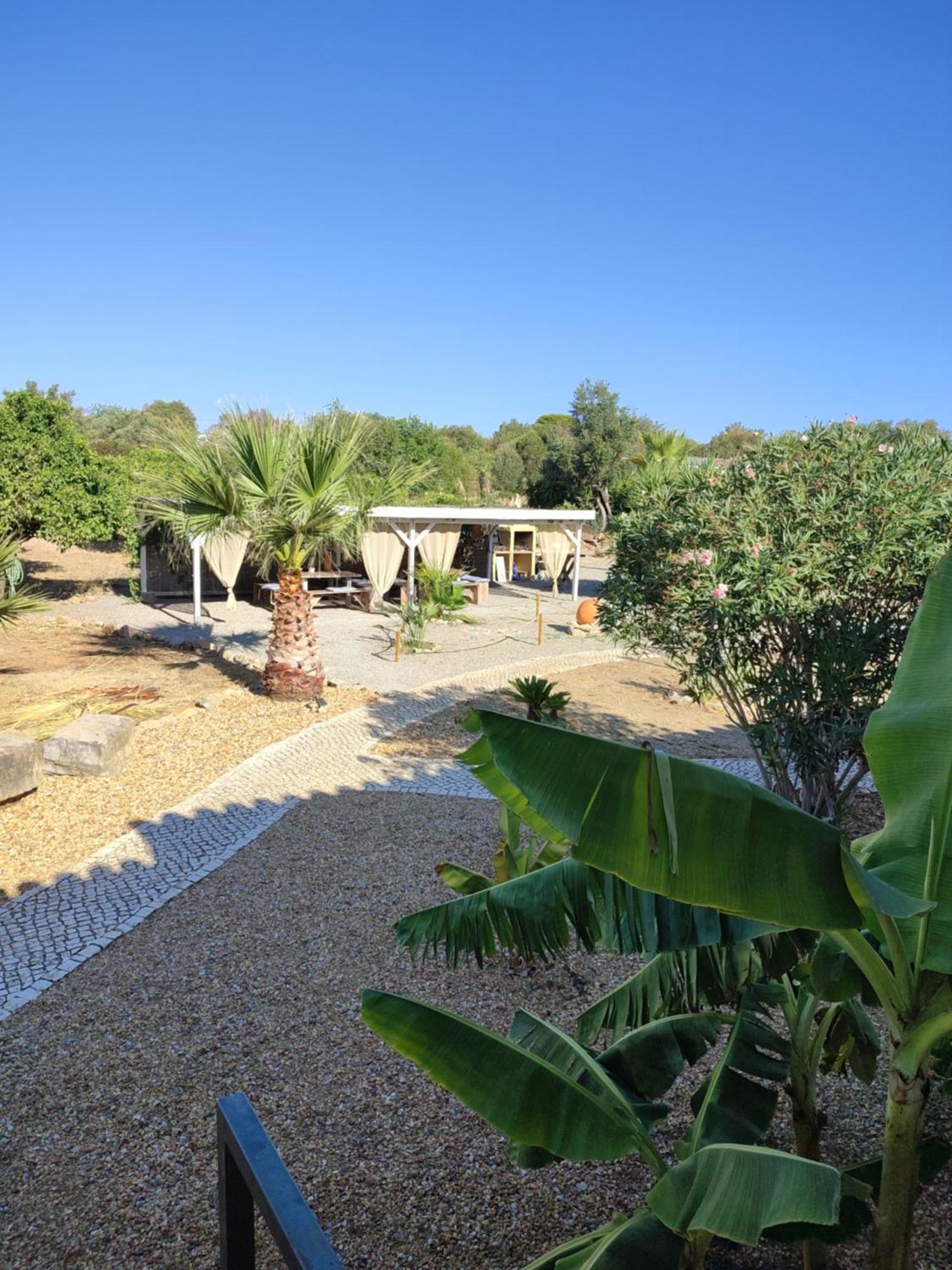 Bed and Breakfast Quinta Pereiro Tropic Garden, Algarve Moncarapacho Zewnętrze zdjęcie