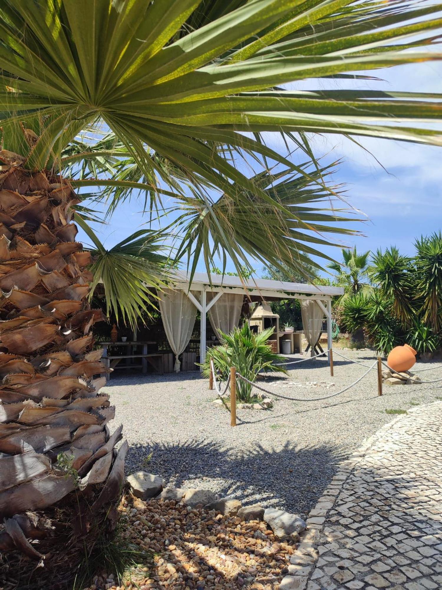Bed and Breakfast Quinta Pereiro Tropic Garden, Algarve Moncarapacho Zewnętrze zdjęcie
